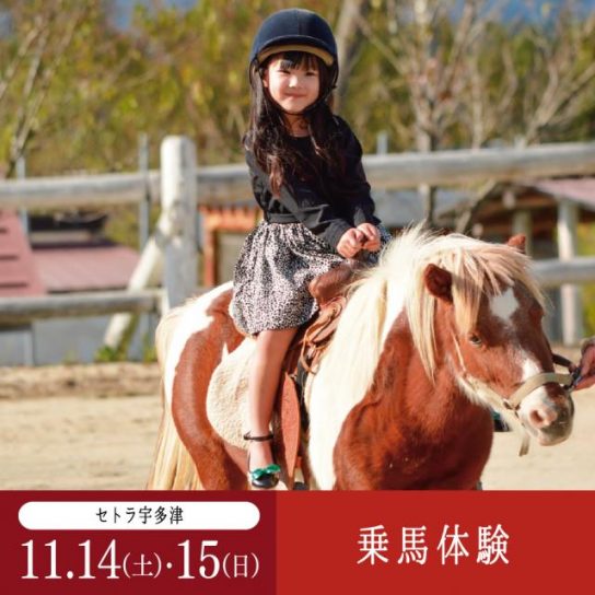 11/14（土）･15（日）乗馬体験