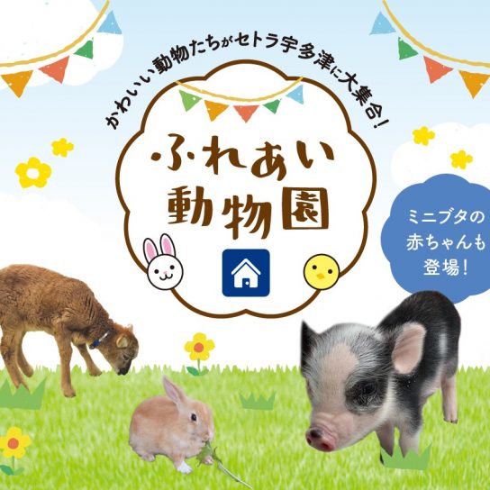 3/14(日) ふれあい動物園