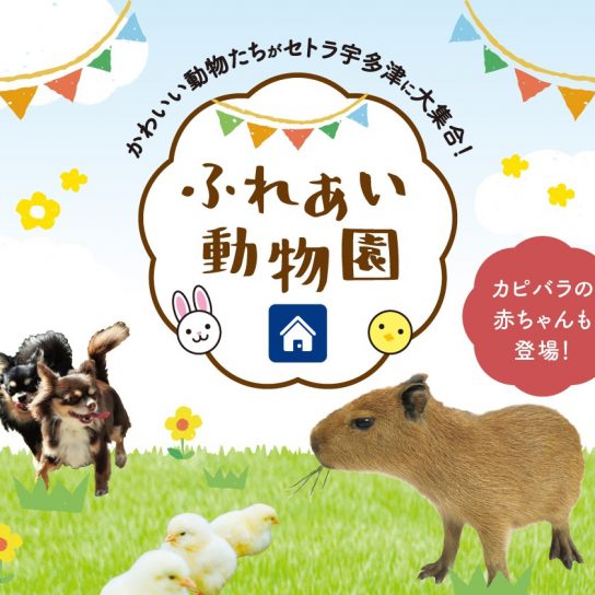 3/13(土) ふれあい動物園
