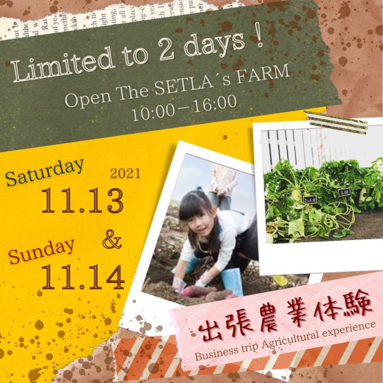 11/13（土）&14（日）　出張農業体験