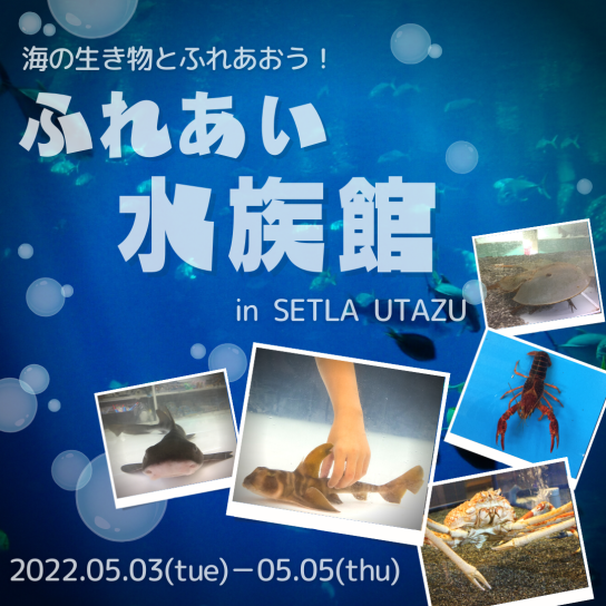 5/3(火・祝)~5/5(木・祝) 海の生き物とふれあおう!ふれあい水族館