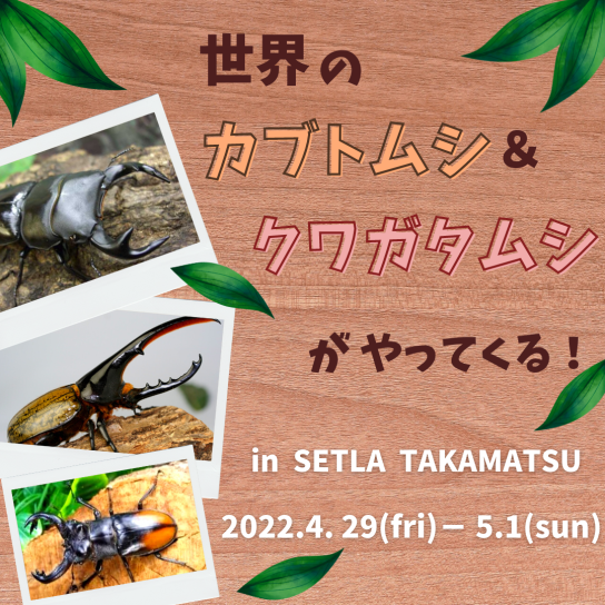 4/29(金・祝)~5/1(日) 世界のカブトムシ・クワガタムシがやってくる!