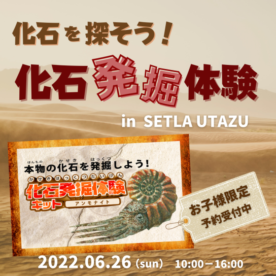化石を探そう!化石発掘体験