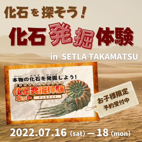 化石を探そう!化石発掘体験