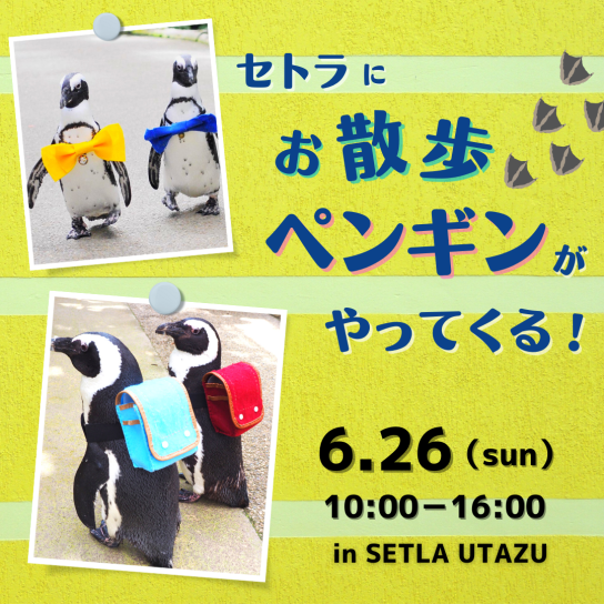 お散歩ペンギンがやってくる!