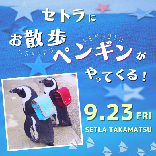 セトラにお散歩ペンギンがやってくる!