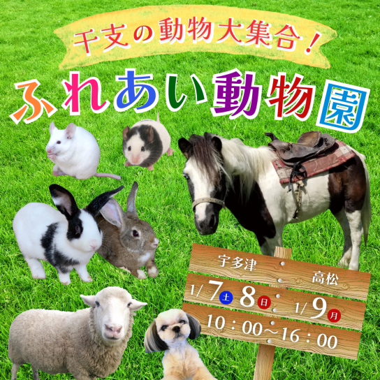 干支の動物大集合！ふれあい動物園