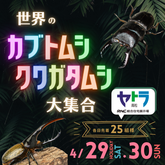 世界のカブトムシ・クワガタムシ大集合