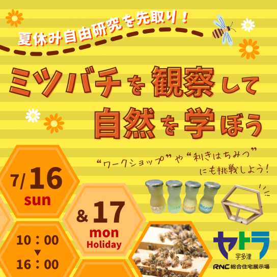 夏休み自由研究を先取り!ミツバチを観察して自然を学ぼう
