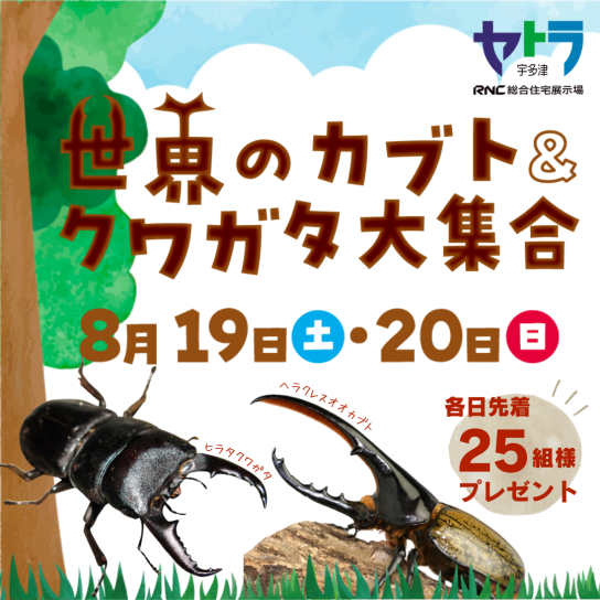 世界のカブト&クワガタ大集合