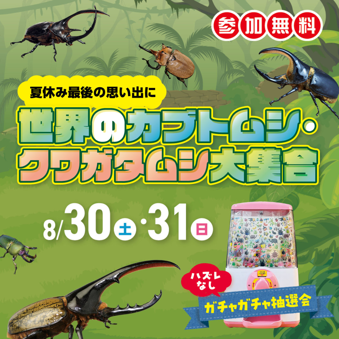 世界のカブトムシ・クワガタムシ大集合