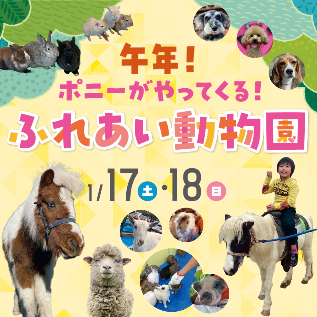 ふれあい動物園