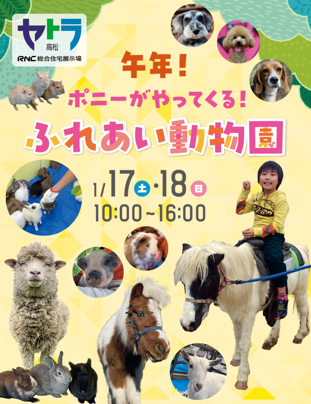 あなたにぴったりの家が見つかる場所