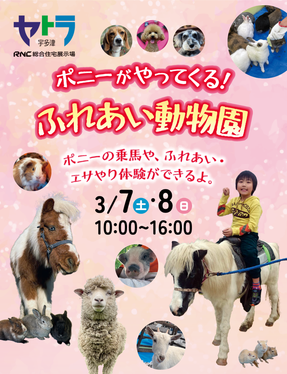 あなたにぴったりの家が見つかる場所